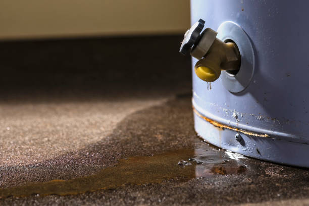 Best Water damage restoration near me  in Lake Camelot, IL