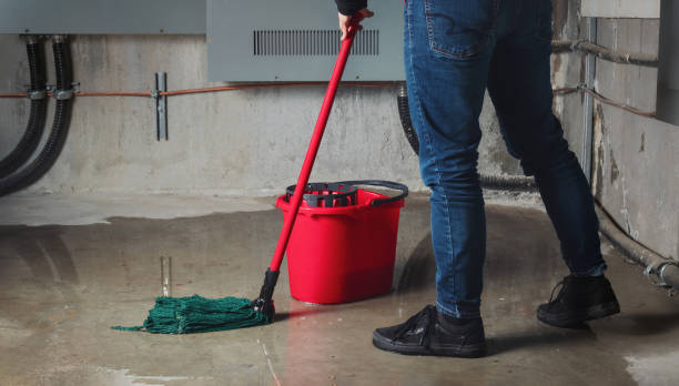 Best Emergency water damage restoration  in Lake Camelot, IL