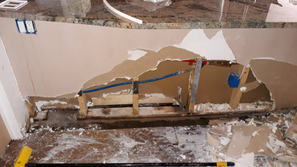 Best Professional water damage repair  in Lake Camelot, IL