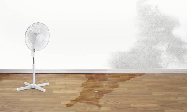 Best Fire Damage Restoration  in Lake Camelot, IL