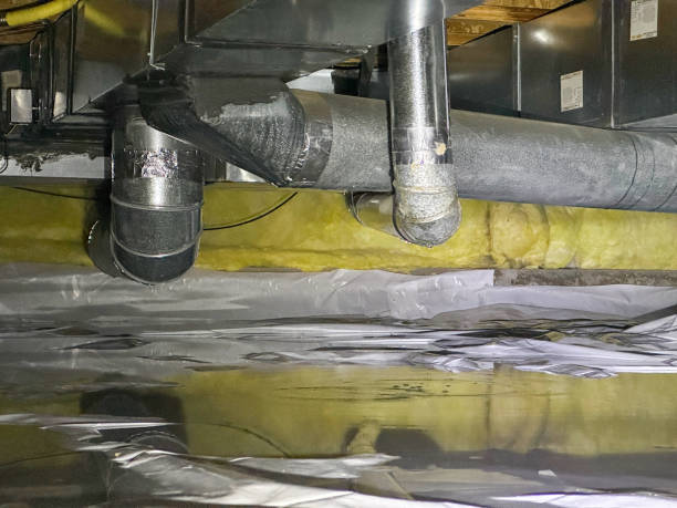 Best Flood damage cleanup  in Lake Camelot, IL