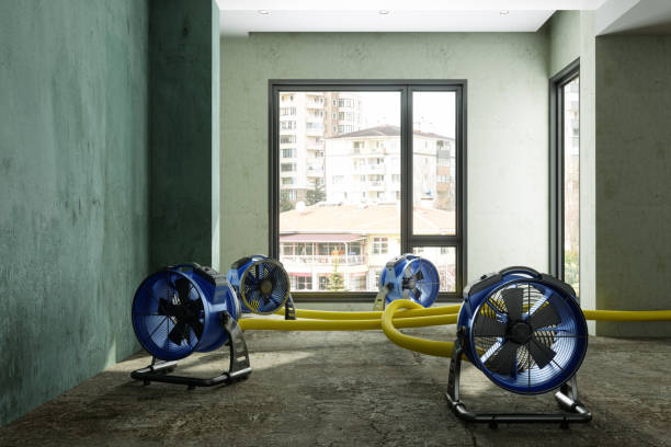 Best Water damage restoration mold remediation  in Lake Camelot, IL