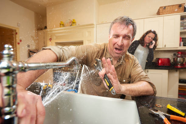Best Ceiling water damage repair  in Lake Camelot, IL